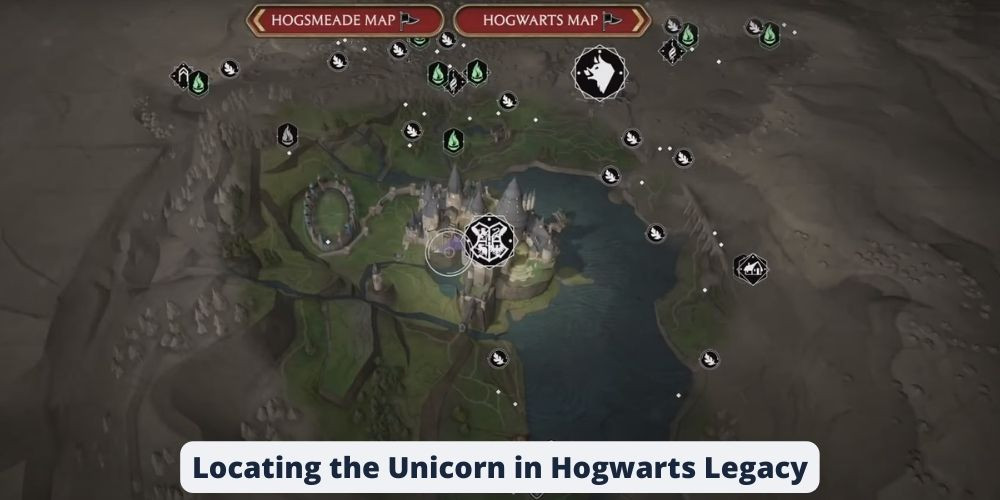 Locating the Unicorn in Hogwarts Legacy